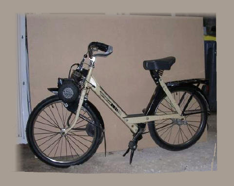 3800 Motobecane beige noir num 4